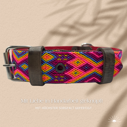 Hundehalsband aus Leder - Maya (Bunt)