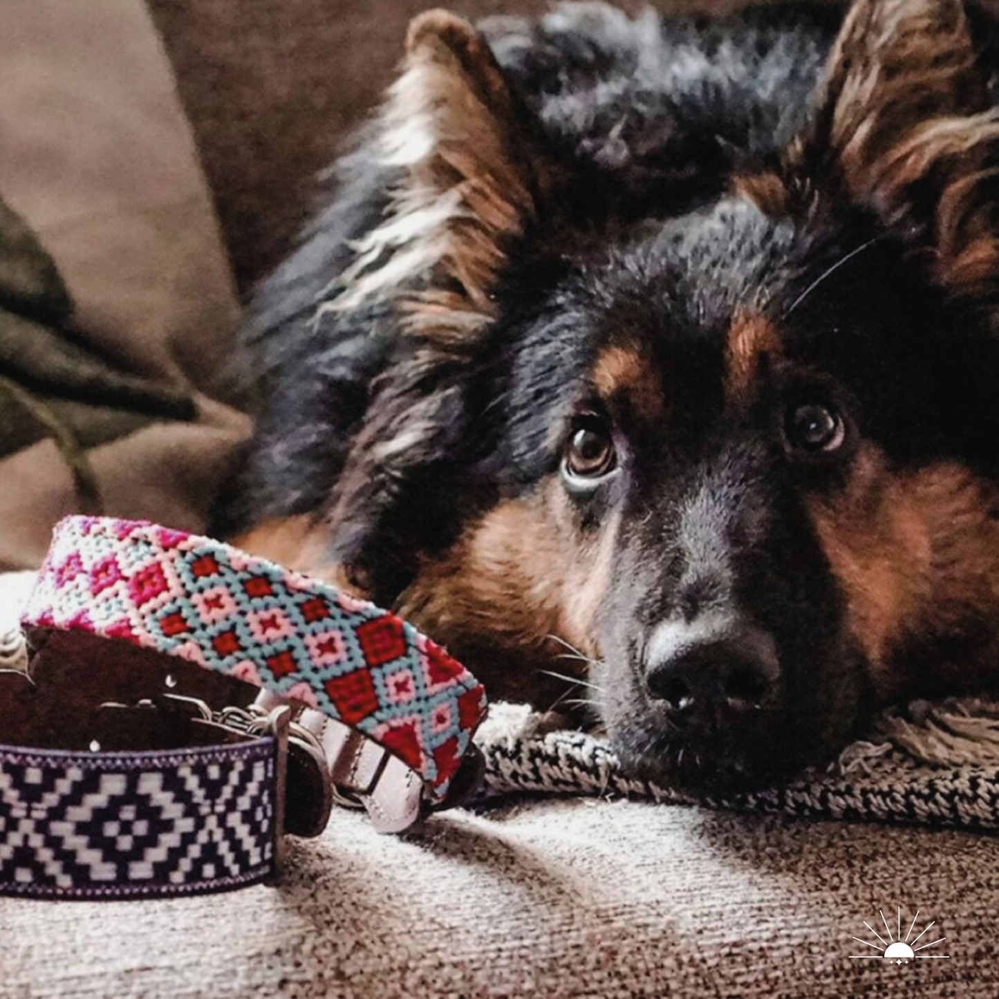 Hundehalsband aus veganem Leder - LUNA (Dunkelblau)